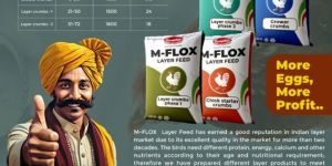 Layer Poultry Feed ( M-FLOX BRAND )