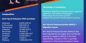 Multi Enzymes Cattle Feed