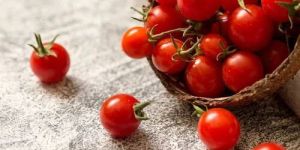 A Grade Red Cherry Tomato