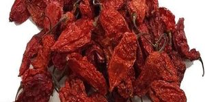 Red Dry Ghost Pepper
