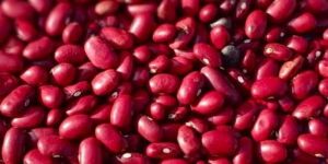 Rajma (Red Kidney Beans)