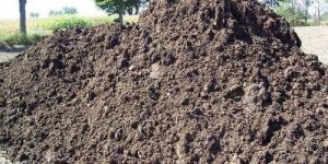 Raw Poultry Manure