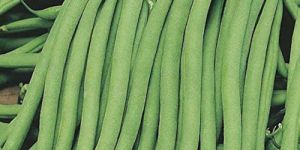 Green Beans