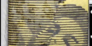 Climax Lidocaine Topical Aerosol Spray