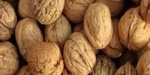 Kashmiri Walnuts