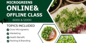 Microgreens Course