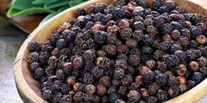 Organic Black Pepper Seeds