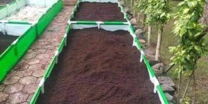 Vermicompost