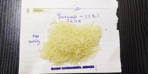 1121 Sella Basmati Rice