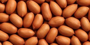 Peanut