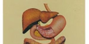 Carbonux Homeopathic Syrup