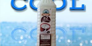 Fresh Cow Buttermilk