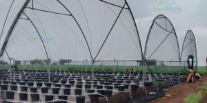 High Tunnel Polyhouse