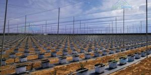 Low Cost Shade Net House