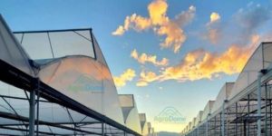 Natural Ventilated Poly Greenhouse