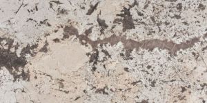 Bianco Exotic Granite