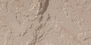 Dholpur Beige Sandstone