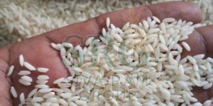 Sona Masoori Steam Rice