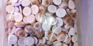 Round Gomti Chakra Stone