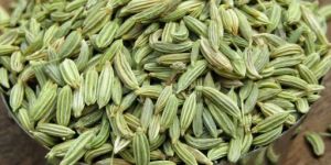 Dried Green Fennel Seeds