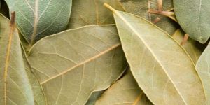 Natural Dried Bay Leaves