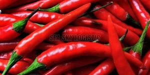 Fresh Red Chilli