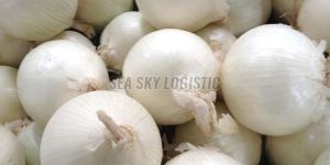 Fresh White Onions
