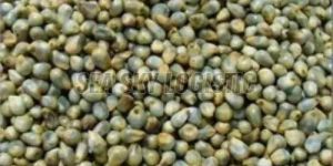 Green Millets