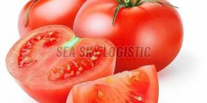 Hybrid Fresh Tomato