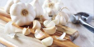 Fresh White Garlic