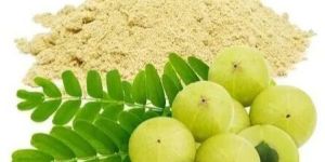 Amla Powder