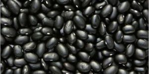 Black Beans