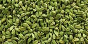 Green Cardamom