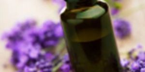 Lavender Oil