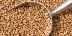 Quinoa Seed