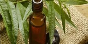 Tea Tree Essential Oil