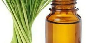 Pure Lemongrass Oil