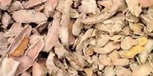 Dried Lakadong Turmeric Finger