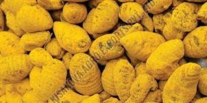 Dried Turmeric Bulb
