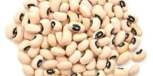 Black Eyed Beans