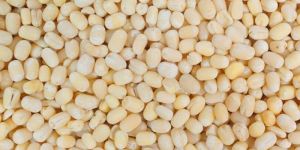White Urad Dal