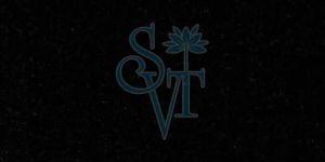 Indian Jet Black Granite Slab