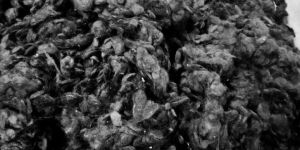 Black Goli Human Hair