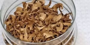 Dried Mushroom