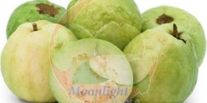 A Grade Indian Guava