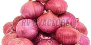 a Grade Fresh Pink Onion