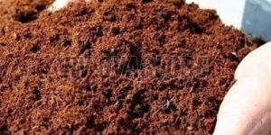 Coco Peat Powder