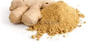 Dehydrates Dry Ginger Powder