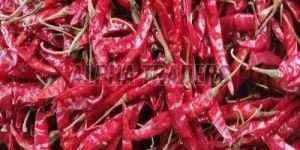 Dry Red Chilli