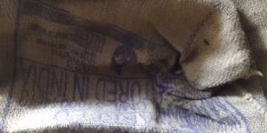 Used Jute Gunny Bags 50kg